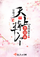 穿越之天上掉下个李银林